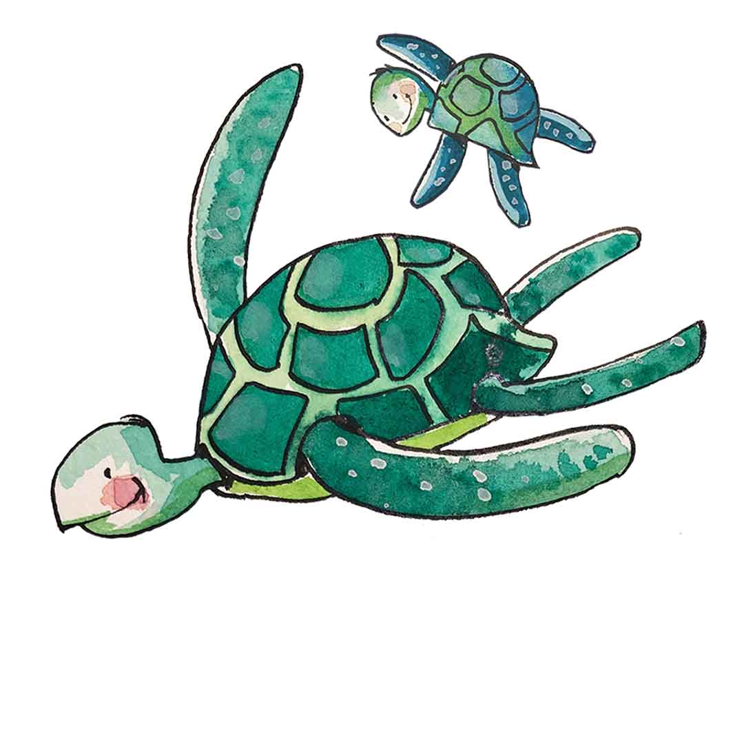 Meerdesschildkröte